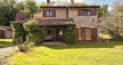Casale Chimneys Immersed in Olive Trees