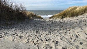 Uma praia arenosa com dunas e uma vista desimpedida do oceano.