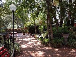 Un camino empedrado en un jardín con bancos y plantas en macetas, rodeado de árboles y un muro de ladrillo.