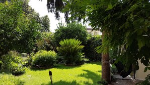 A well-maintained garden with various plants and a pathway.