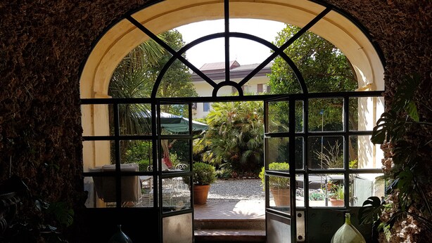 An arched doorway with a grid of glass panes leading to a garden area with potted plants and a bicycle.