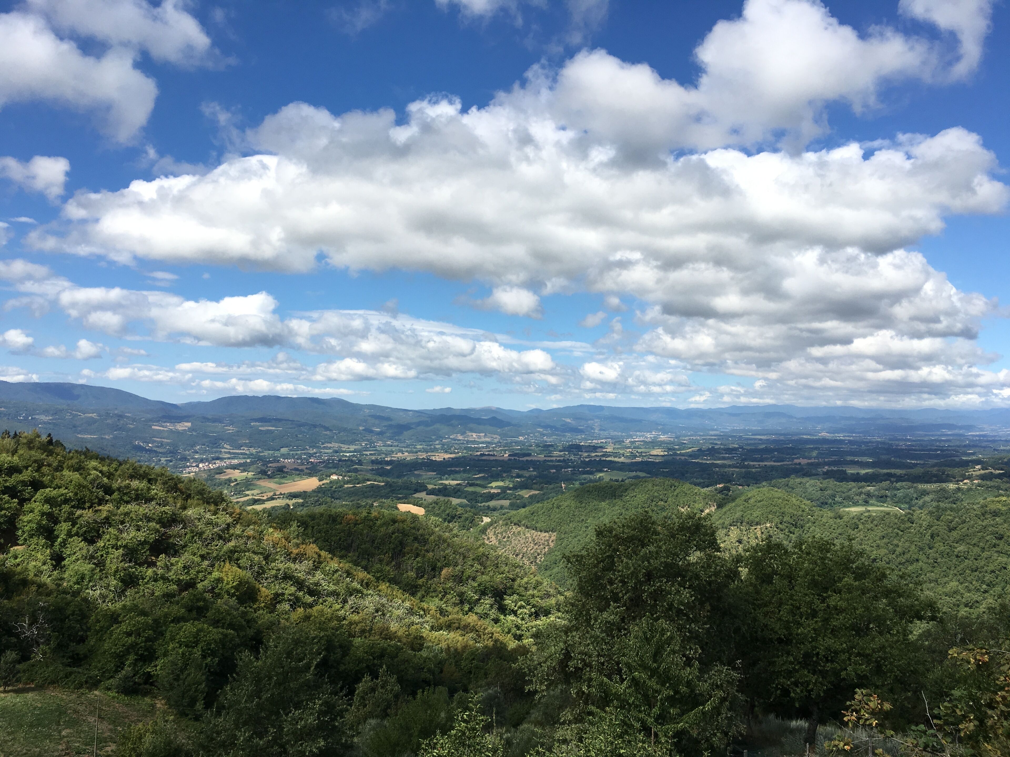 A panoramic view of a mountainous landscape with dense forests and scattered buildings.