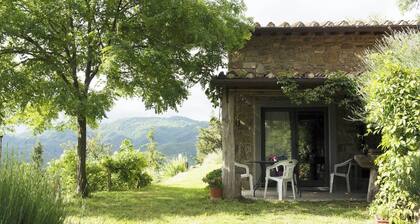 la Casetta Nel Bosco Feel the Nature