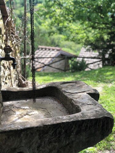 la Casetta Nel Bosco Feel the Nature