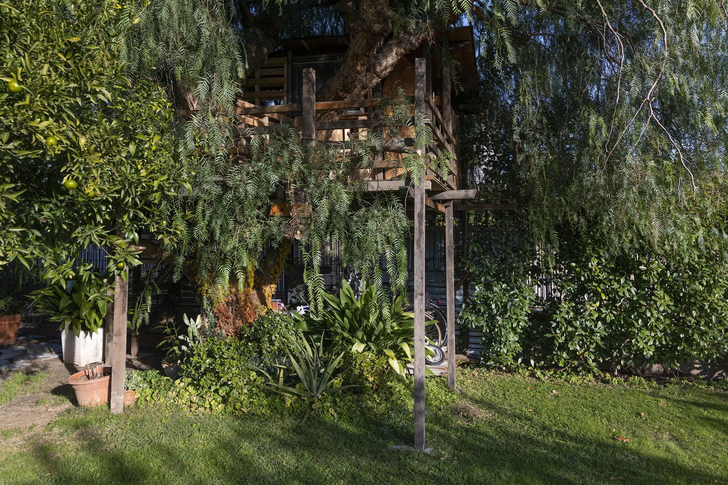 Une structure de pergola en bois, entourée d’une végétation luxuriante et d’un jardin bien entretenu.