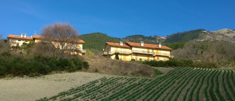 Apartment, 4 Bedrooms, Accessible, Smoking | Exterior
