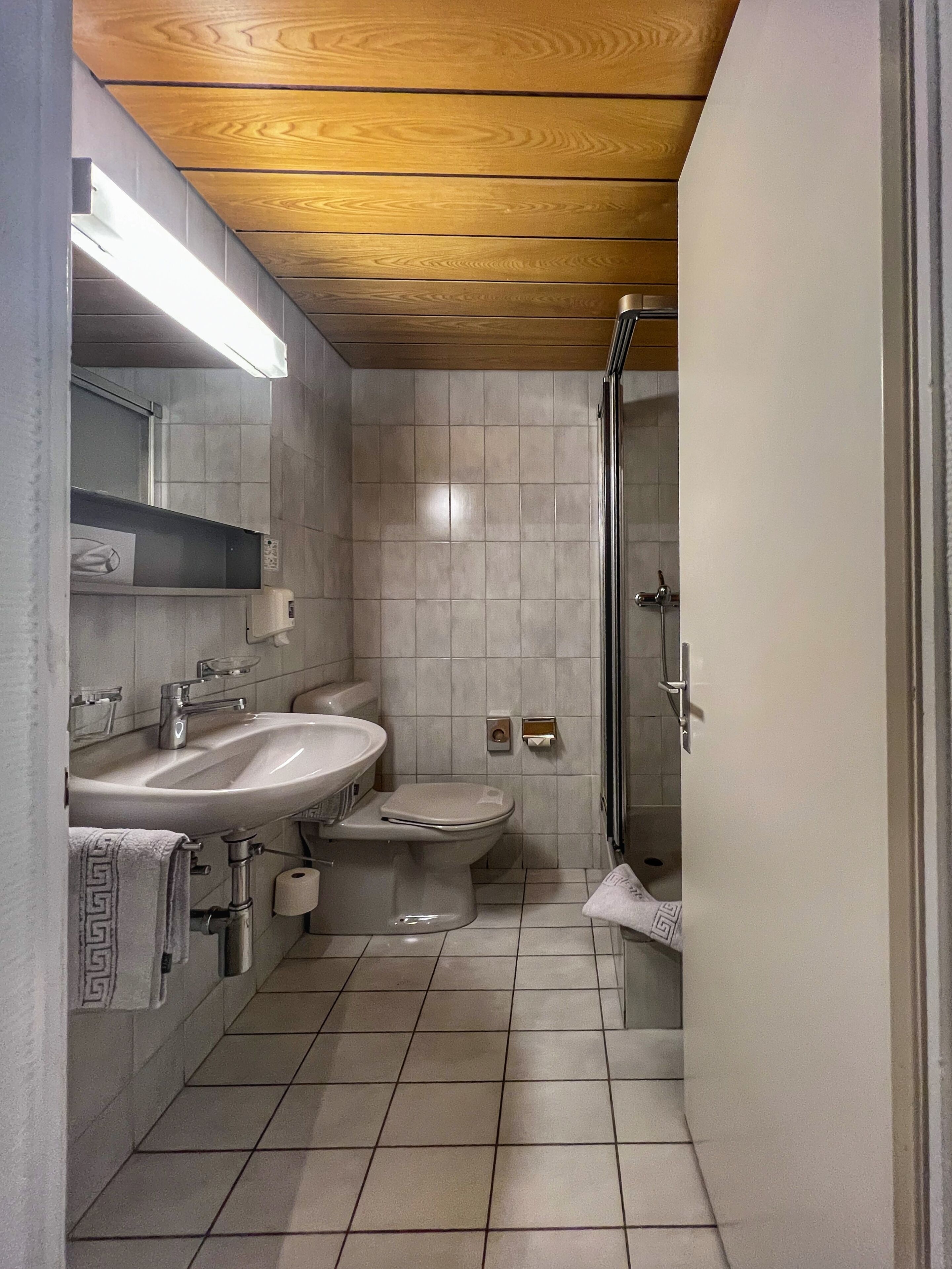 economy double room | bathroom | shower, towels