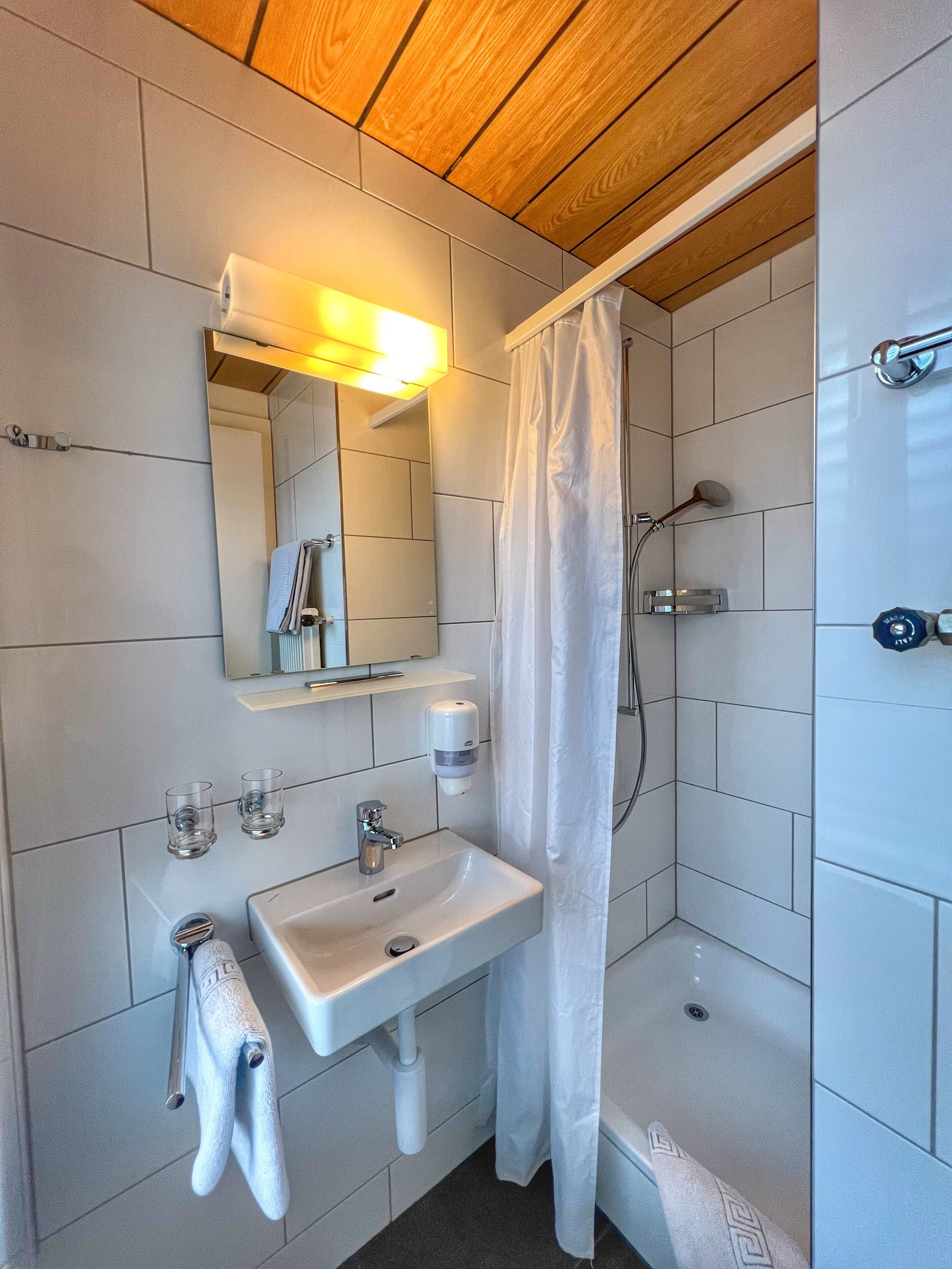 economy double room | bathroom | shower, towels