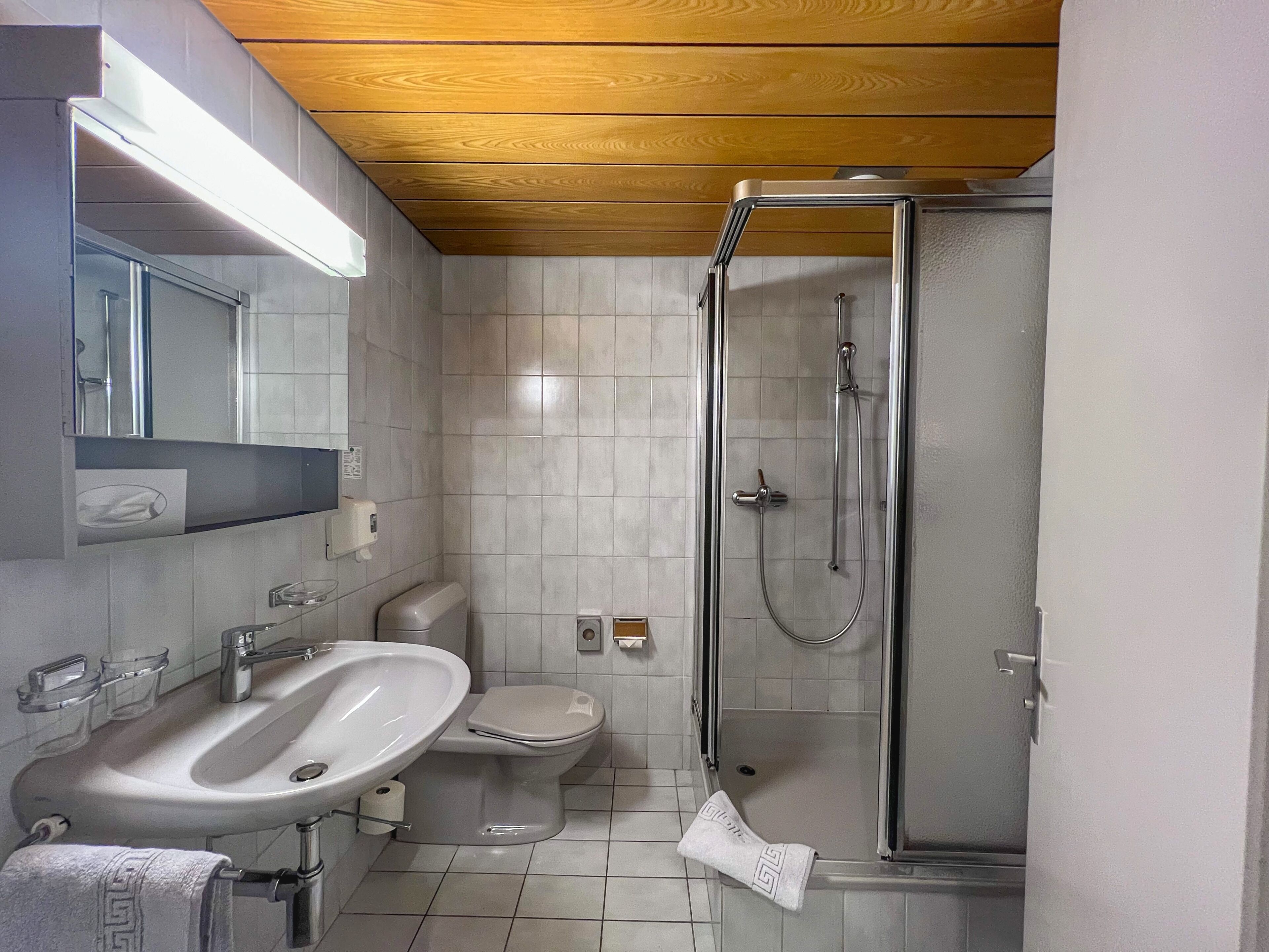 economy double room | bathroom | shower, towels