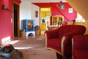 Fernseher, Kamin, DVD-Player, Bücher