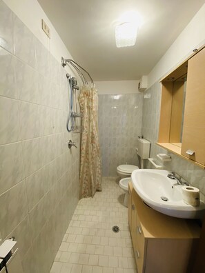 Une salle de bain avec douche, toilettes et lavabo.