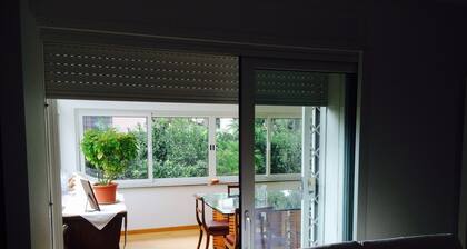 Lovely 60sqm Apartment With Balcony and View of the Pine Forest