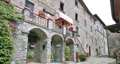 Holiday House Carpe Diem Colognora Di Pescaglia Green Apartment