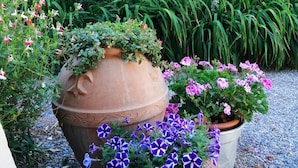A garden with various potted plants and flowers, a large terracotta pot, and a stone wall in the background. - Podere Le Rote Private Farmhouse (Castelnuovo di Val di Cecina)