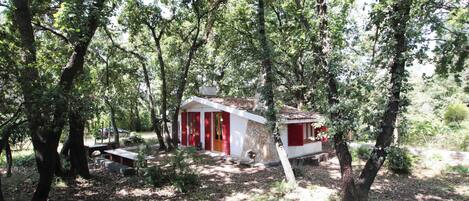 Studio, Accessible, Smoking | View from property