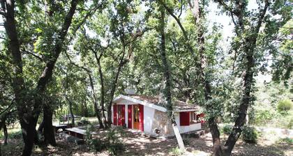 Chalet in the Woods Nestled in the oak Forest in Monterosso Etneo