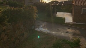 Imagen sin descripción, 3 de 41, botón