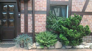 Un bâtiment en briques avec une porte brun foncé, une fenêtre donnant sur un paysage agréable et un petit jardin agrémenté de diverses plantes et de rochers.