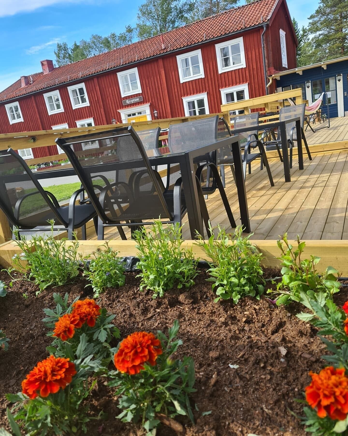 ランチに営業 (スカンジナビア料理)