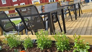 A reception area with a red building, outdoor seating with black chairs, and a garden with marigold flowers. - Lövångergården (Lövånger)
