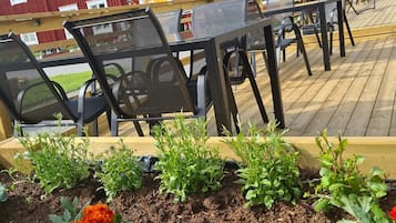 Lunch served, Scandinavian cuisine