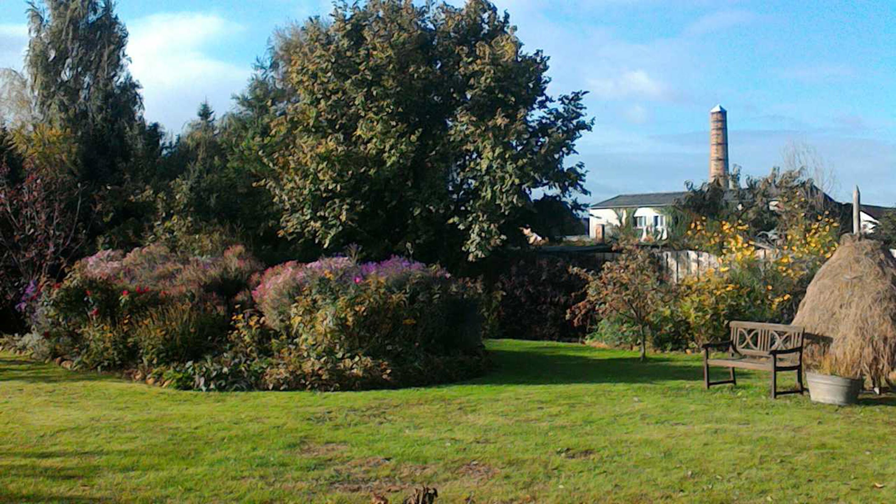 A garden with a thatched structure, a bench, and a chimney in the background.