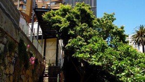 A narrow pathway leading to a building with a modern facade, surrounded by lush greenery and a stone wall. - Hotel Torreviña (Vina del Mar)