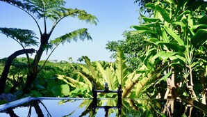 Un área de piscina tranquila al aire libre, con exuberante vegetación tropical y un reflejo claro en el agua.