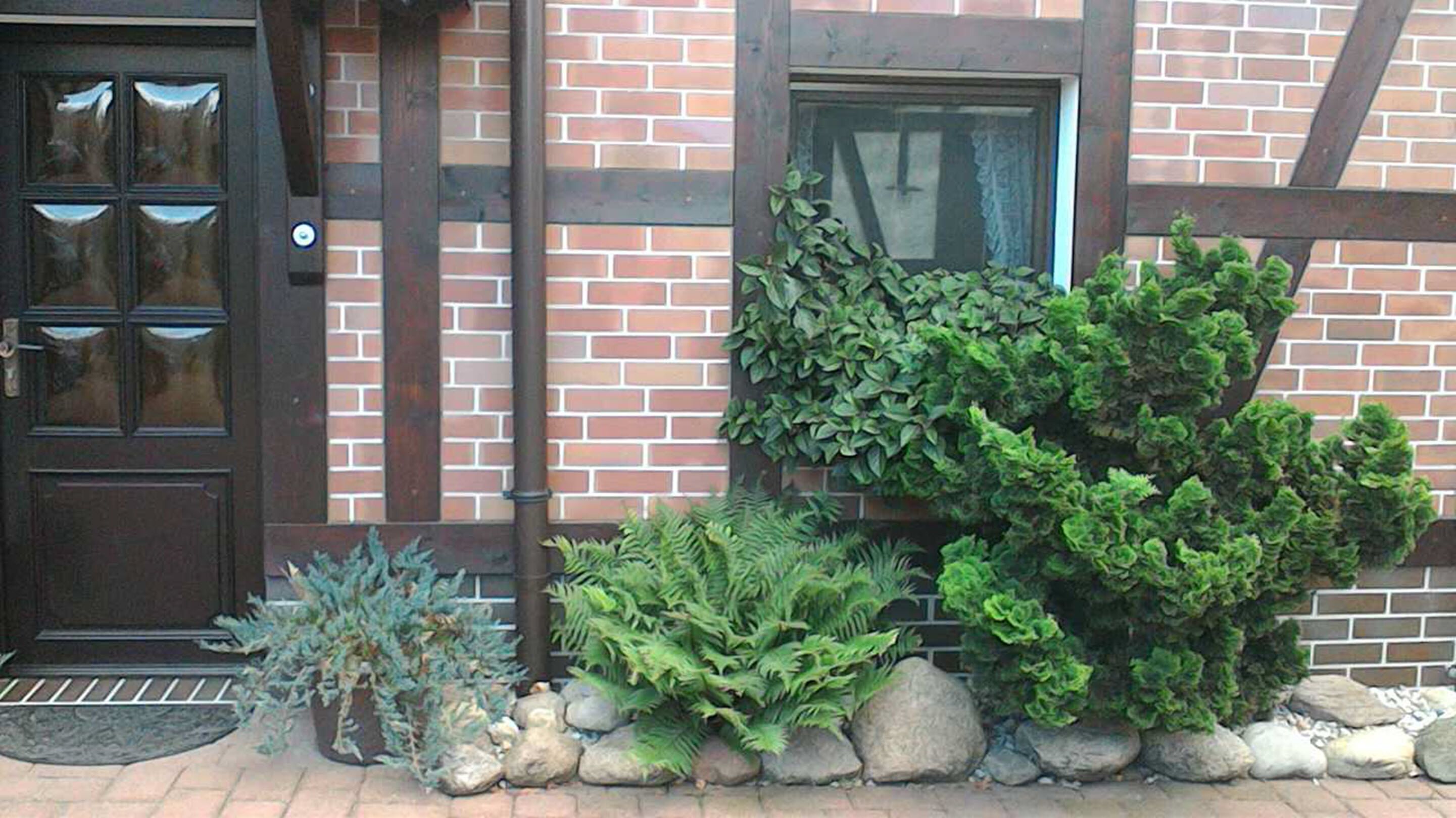 A brick building with a dark brown door and window, surrounded by various plants and rocks.