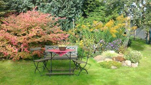 Un jardin agrémenté d’un banc en bois et d’une table, entouré de divers arbustes et arbres en fleurs.