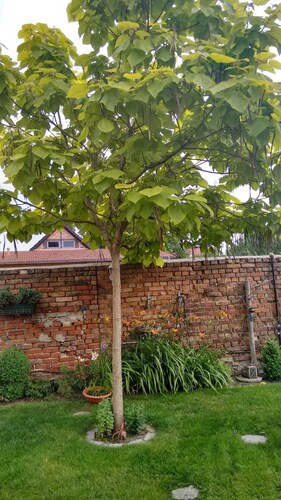 Apartments Leonore - FEWO 2