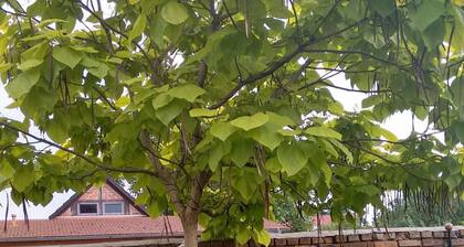 Apartments Leonore - FEWO 2