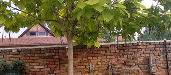 Apartments Leonore - FEWO 2