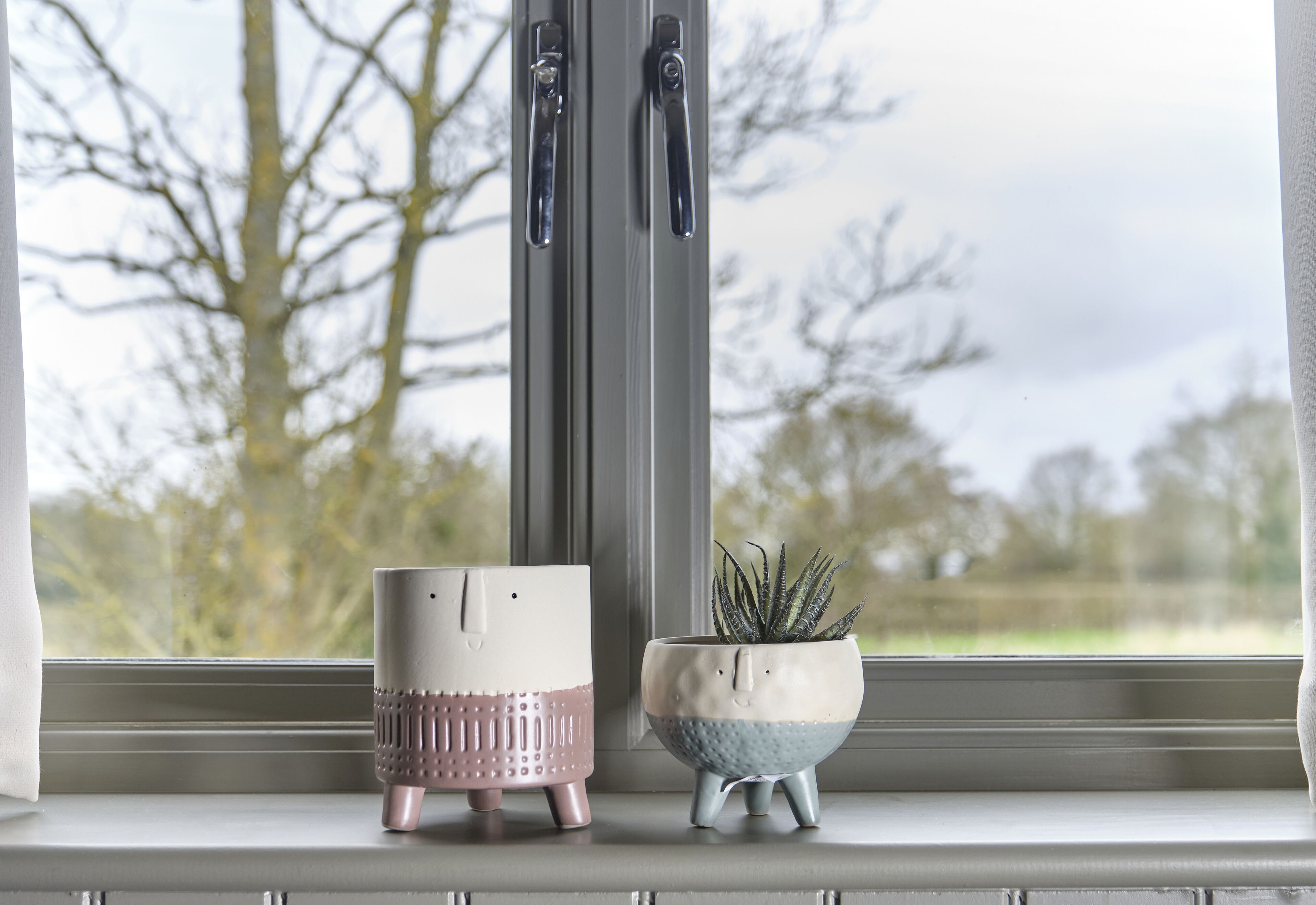 Two potted plants on a windowsill.