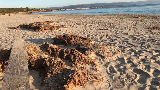 Une plage de sable avec une promenade en bois qui mène à l’eau.