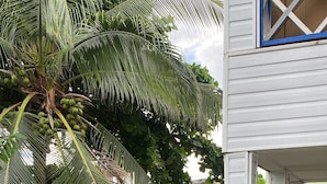 Un jardín bien cuidado con una palmera, una mesa de madera con sillas y un mural en la pared.