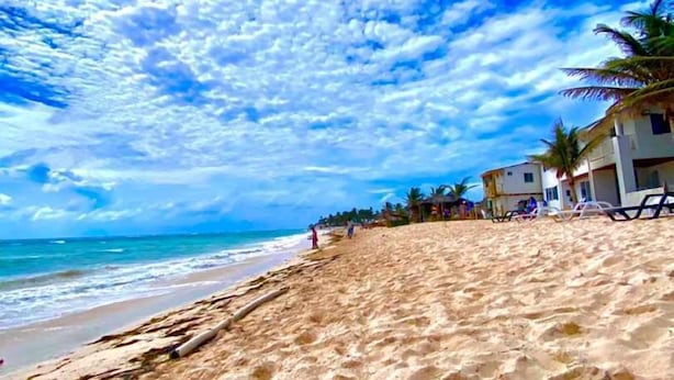 Una playa con orilla arenosa, palmeras y un cielo azul despejado con nubes.