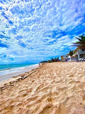 Una playa con orilla arenosa, palmeras y un cielo azul despejado con nubes.