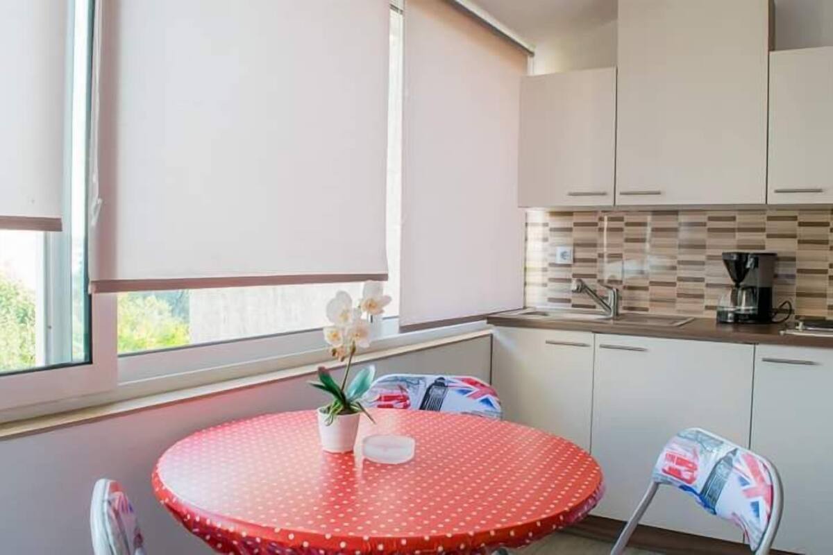 Apartment (Three Bedroom Apartment) | Private kitchen | Full-size fridge, stovetop, electric kettle, cookware/dishes/utensils