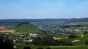A rural landscape with a river, fields, and a small village. - Well-kept vacation home in the middle of the vineyards, apartment 2, short vacation on request (Osann)