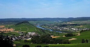 Een landelijk landschap met een rivier, velden en een klein dorp.