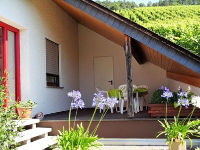 Well-kept vacation home in the middle of the vineyards, apartment 2, short vacation on request