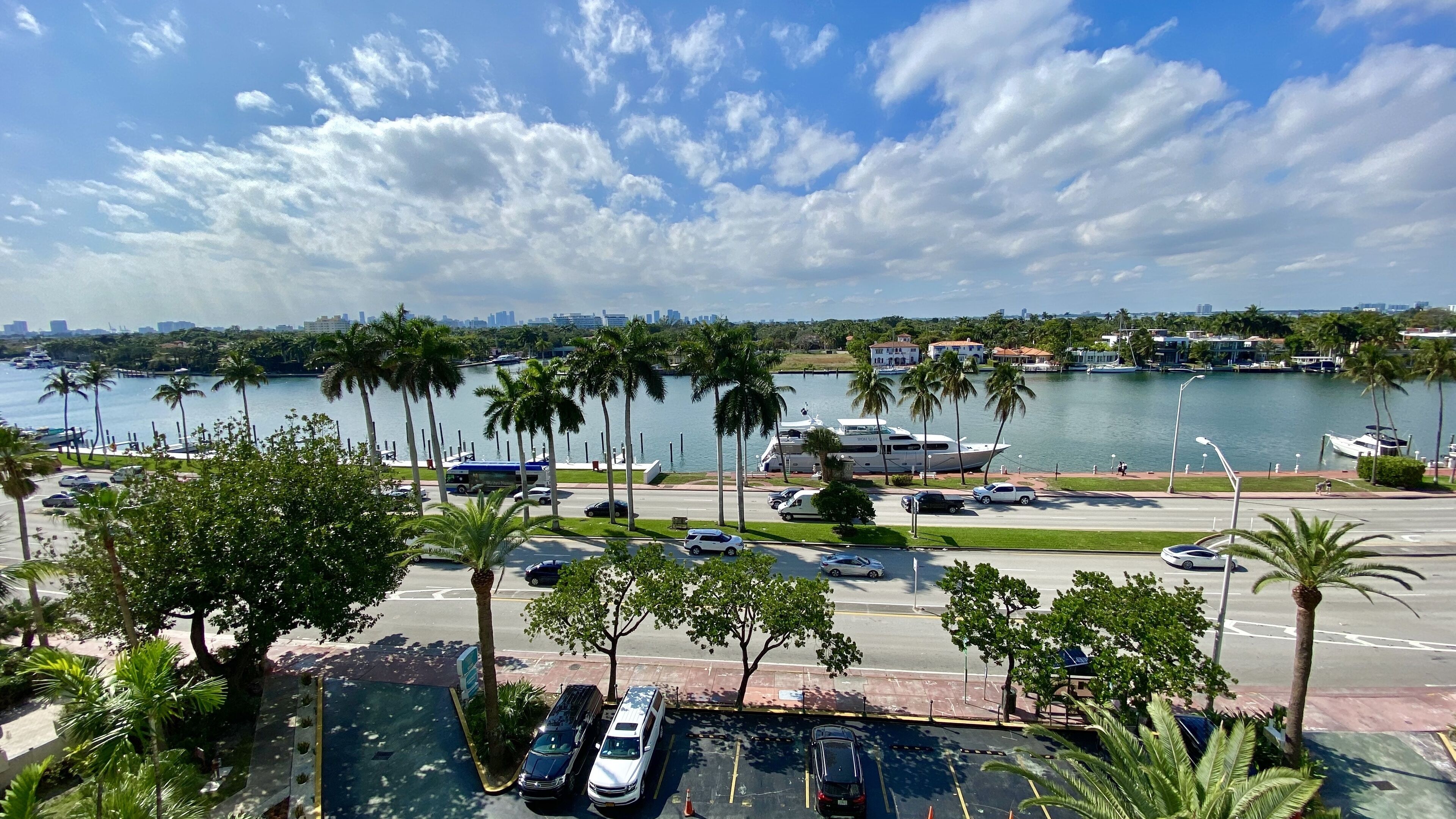 A marina with boats, a city skyline in the background, and palm trees lining the waterfront.