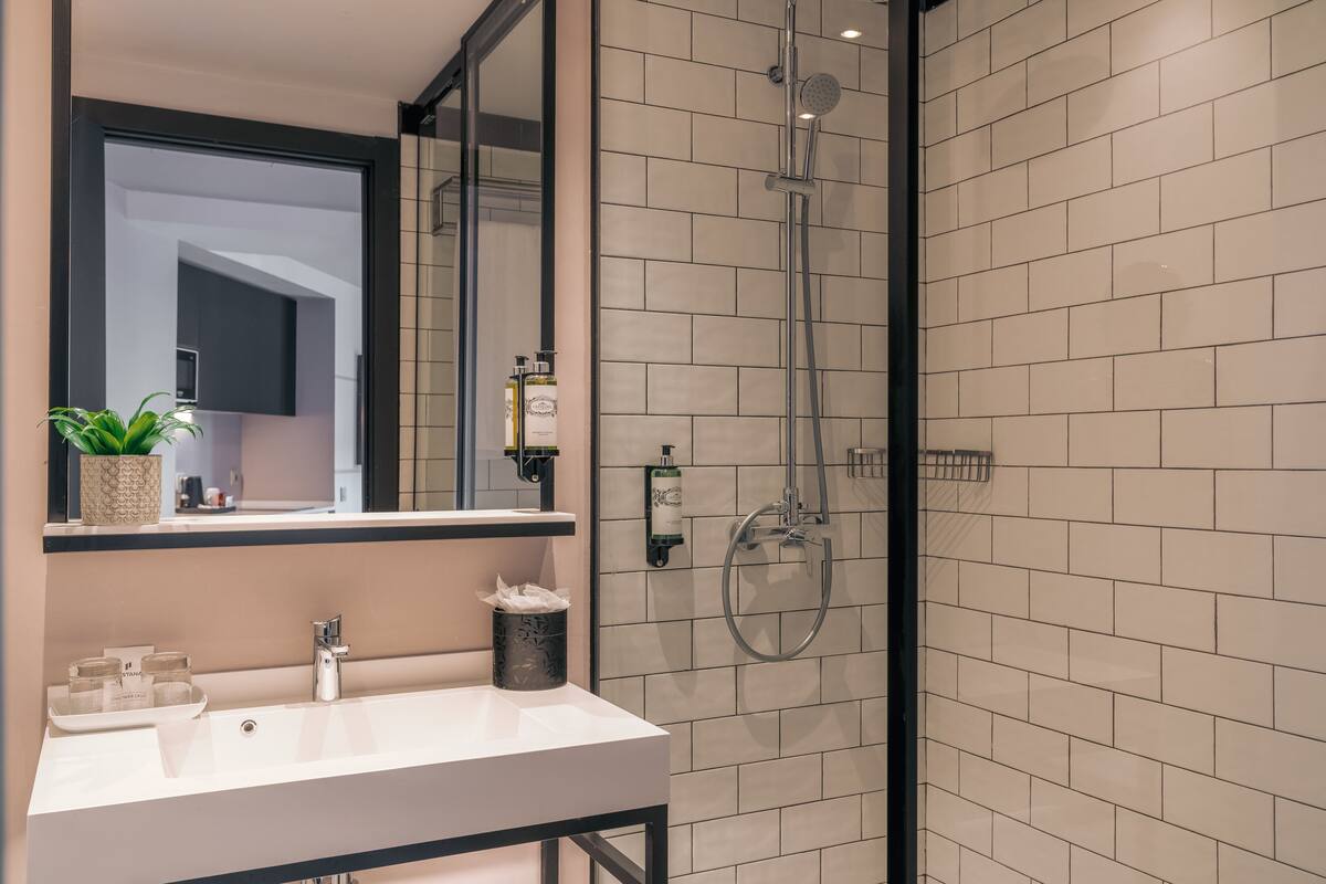 A modern bathroom with a white sink, a mirror, a shower with a glass door, and a potted plant on the counter.
