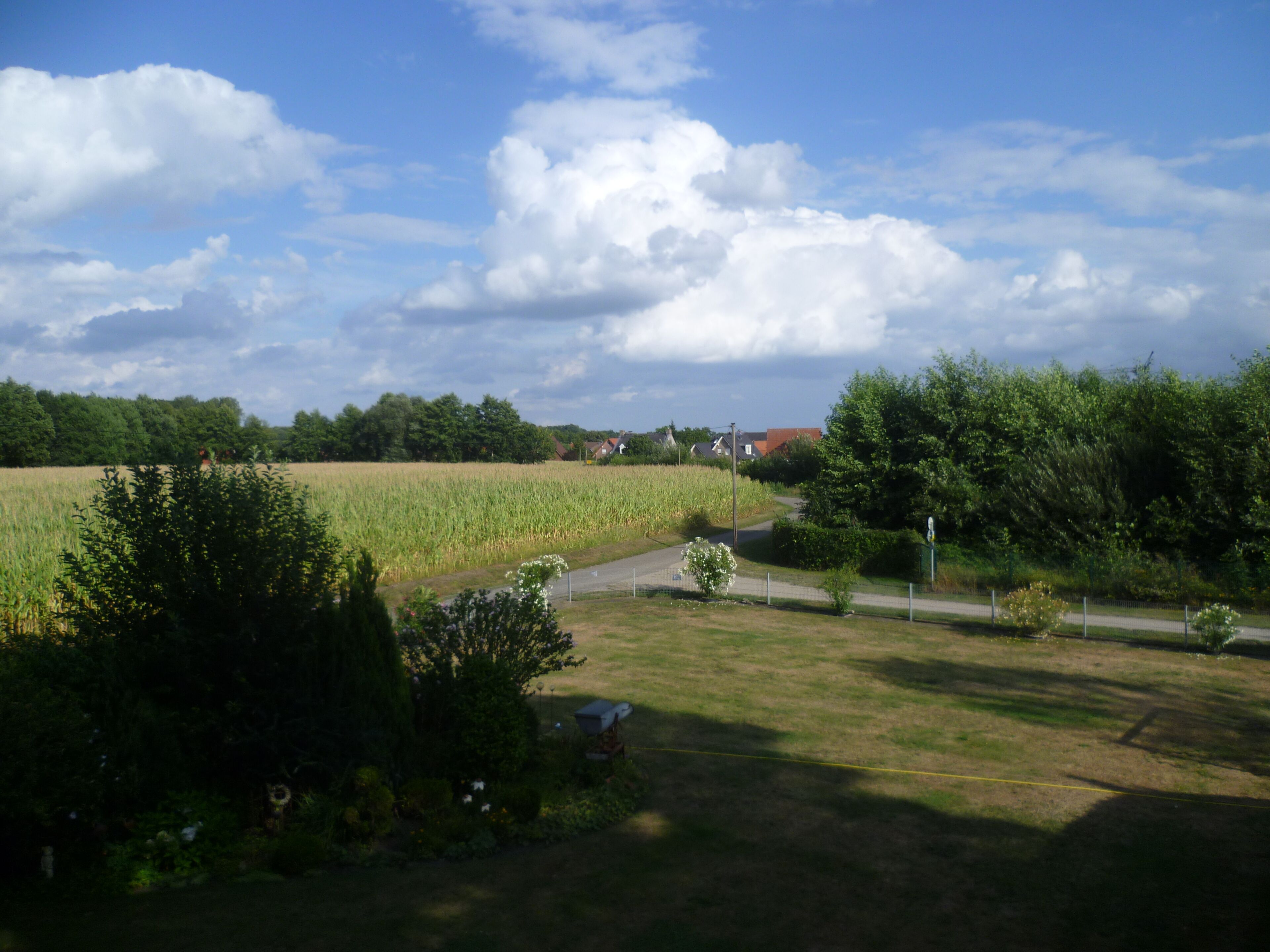Ländliche Landschaft mit Feld, Bäumen und einer Straße.