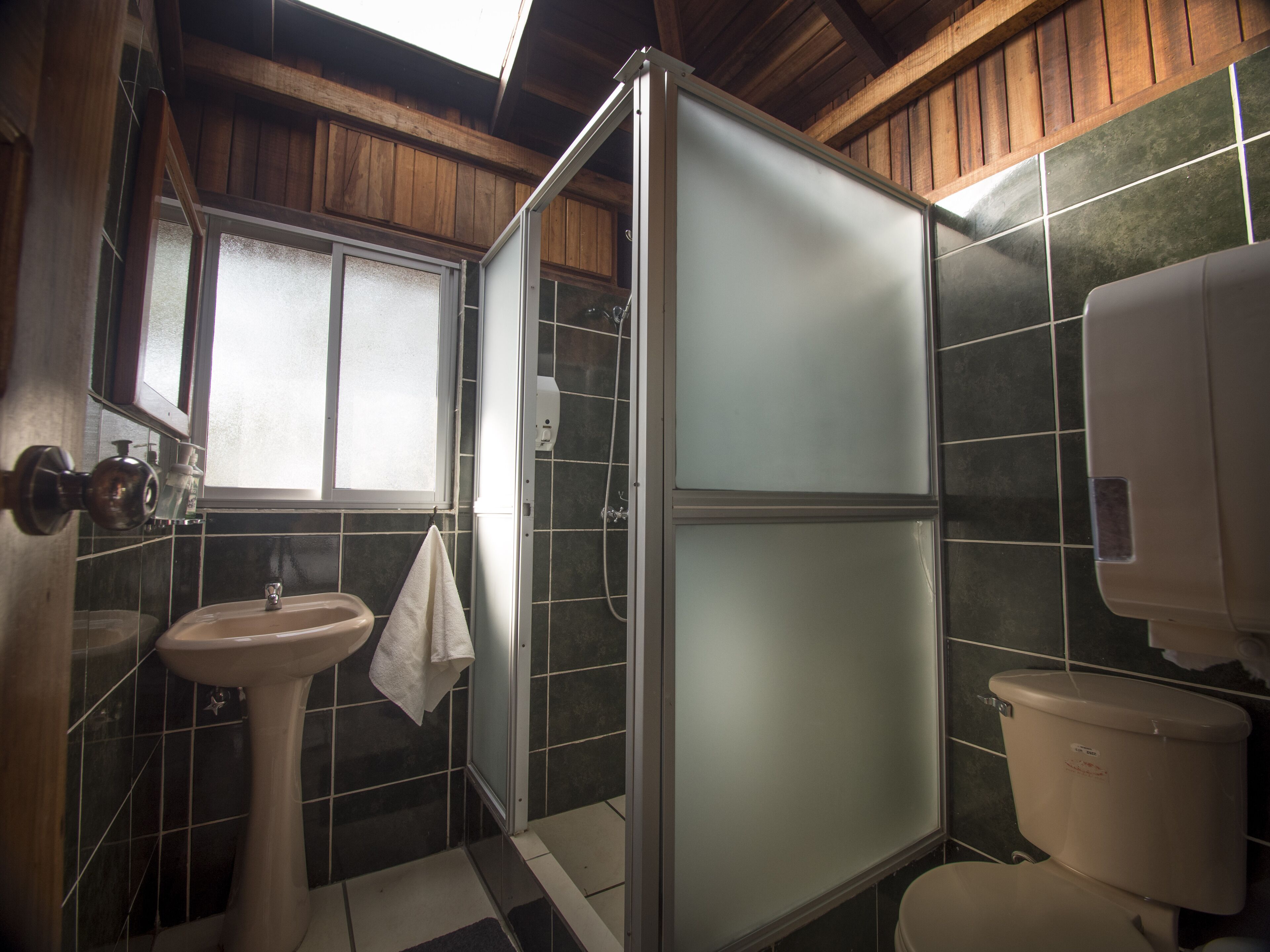Shower, towels, soap, toilet paper