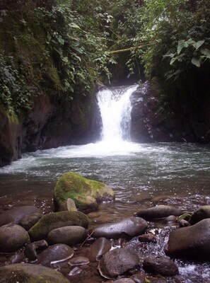 Exterior - Santa Lucia Ecolodge (Quito)