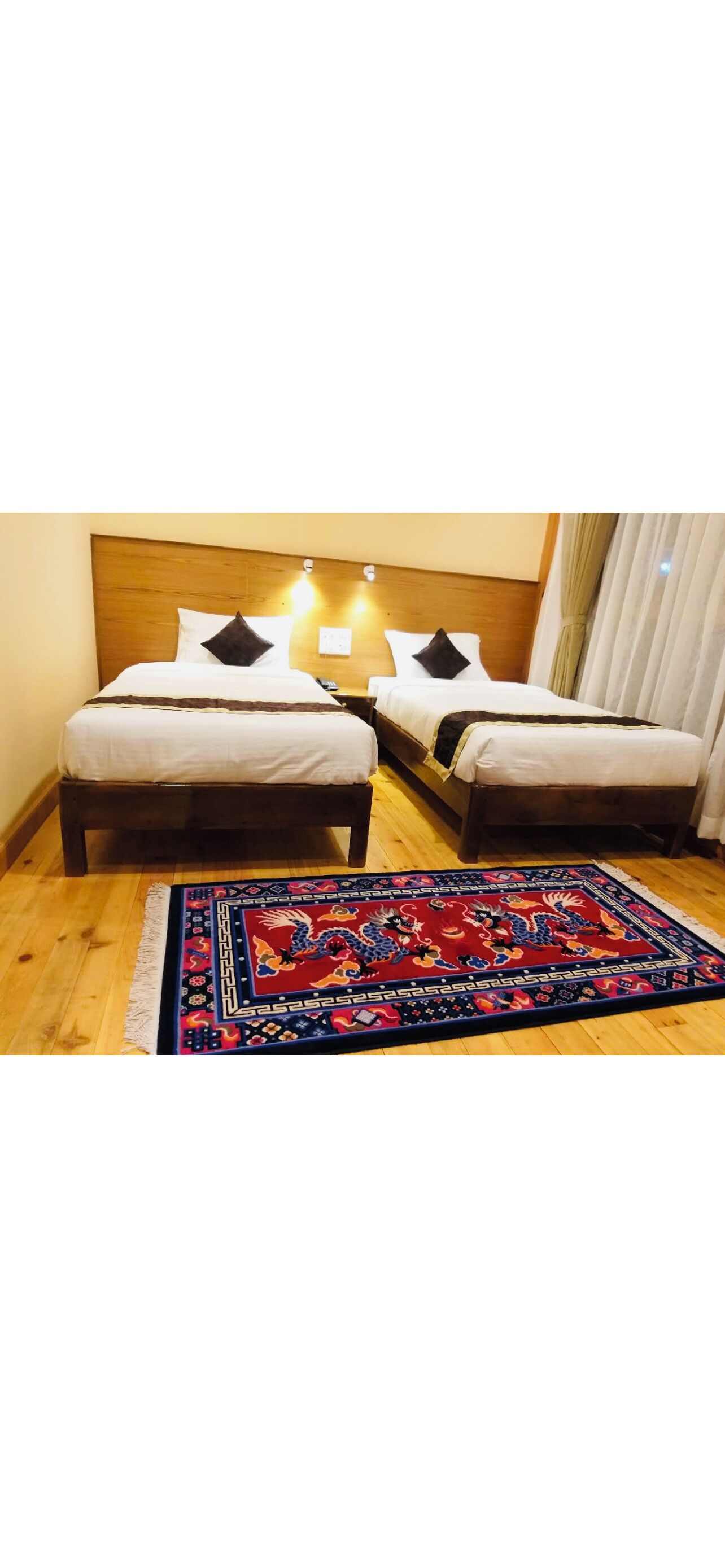 Une chambre d’hôtel avec deux lits, une tête de lit en bois, un tapis aux motifs rouges et bleus, et une table de chevet avec une lampe.