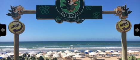 鄰近海灘、4 間海灘酒吧