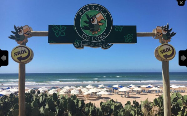 Una playa cerca, 4 bares en la playa